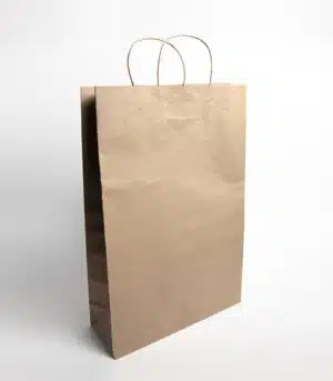 Renovapack - Bolsa Kraft con Asa 17