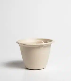 Copa soufflé bagazo 4oz - renovapack