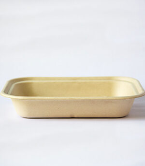 Contenedor Biodegradable Lunch-box 10x2