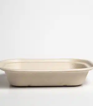 Contenedor Biodegradable Lunch-box 8x6