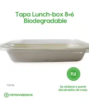 Alternative view of Tapa Lunch-box 8x6 Biodegradable