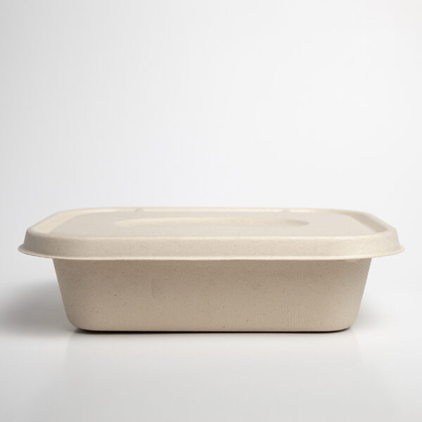 Renovapack - Tapa Lunch Box 10x7 normal