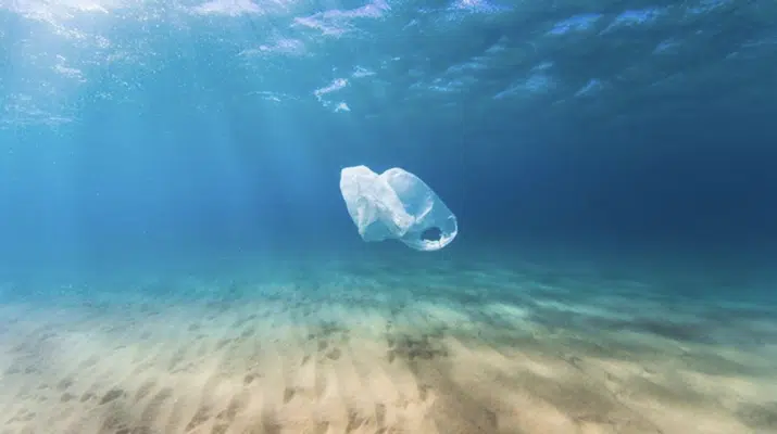 Productos no biodegradables