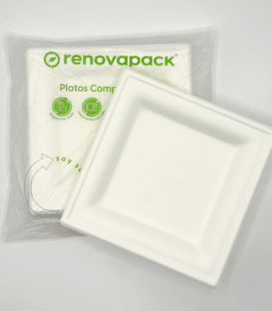 Plato cuadrado 6" - Retail