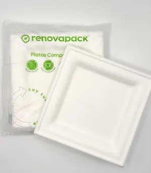 Plato cuadrado 8" - Retail